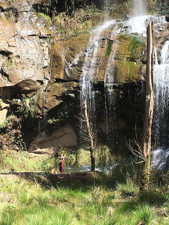 National Forest Falls